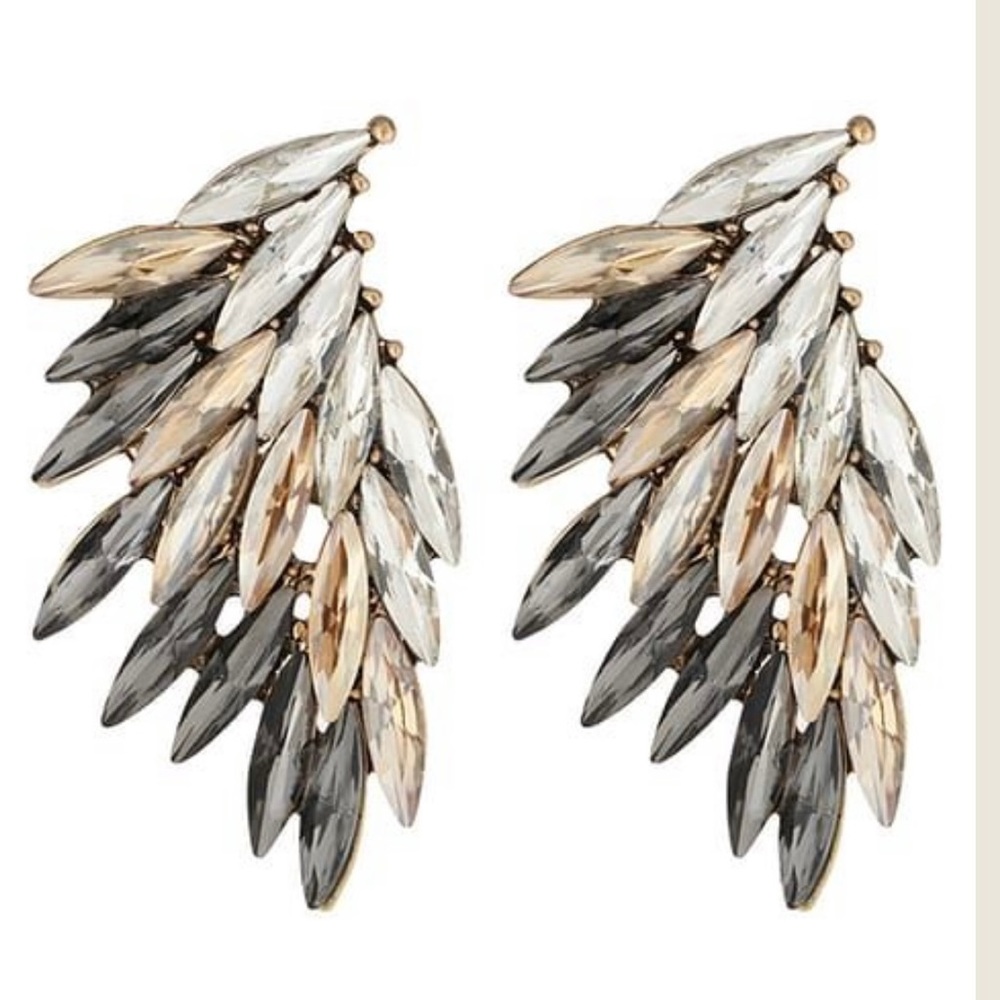 Aldo Earrings